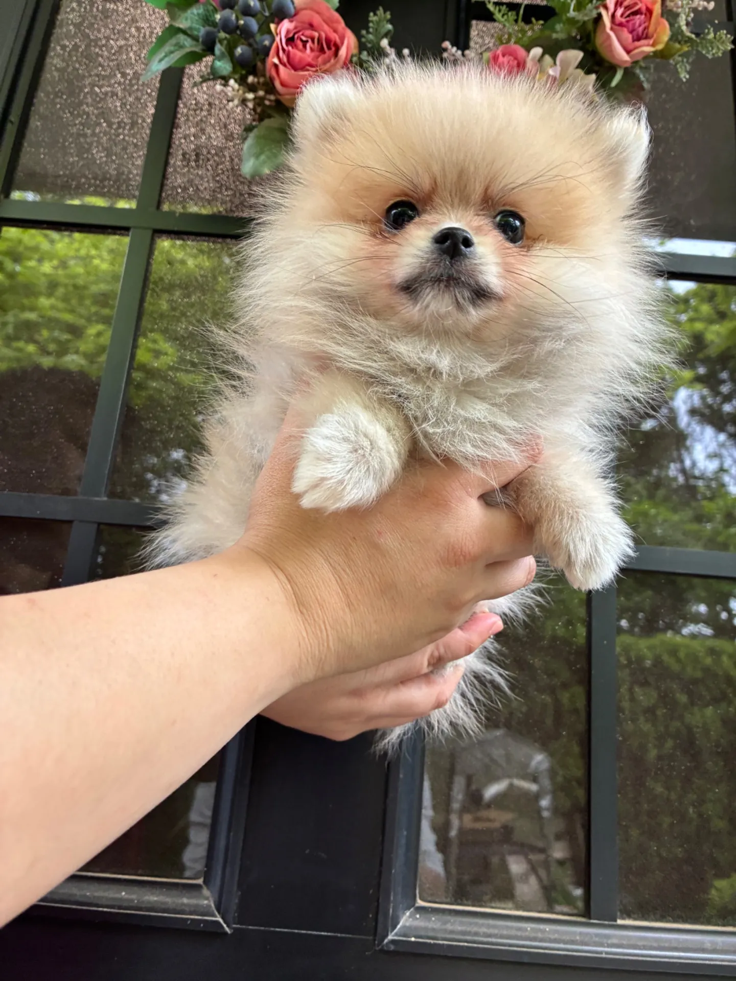 お気軽にお問い合わせください　