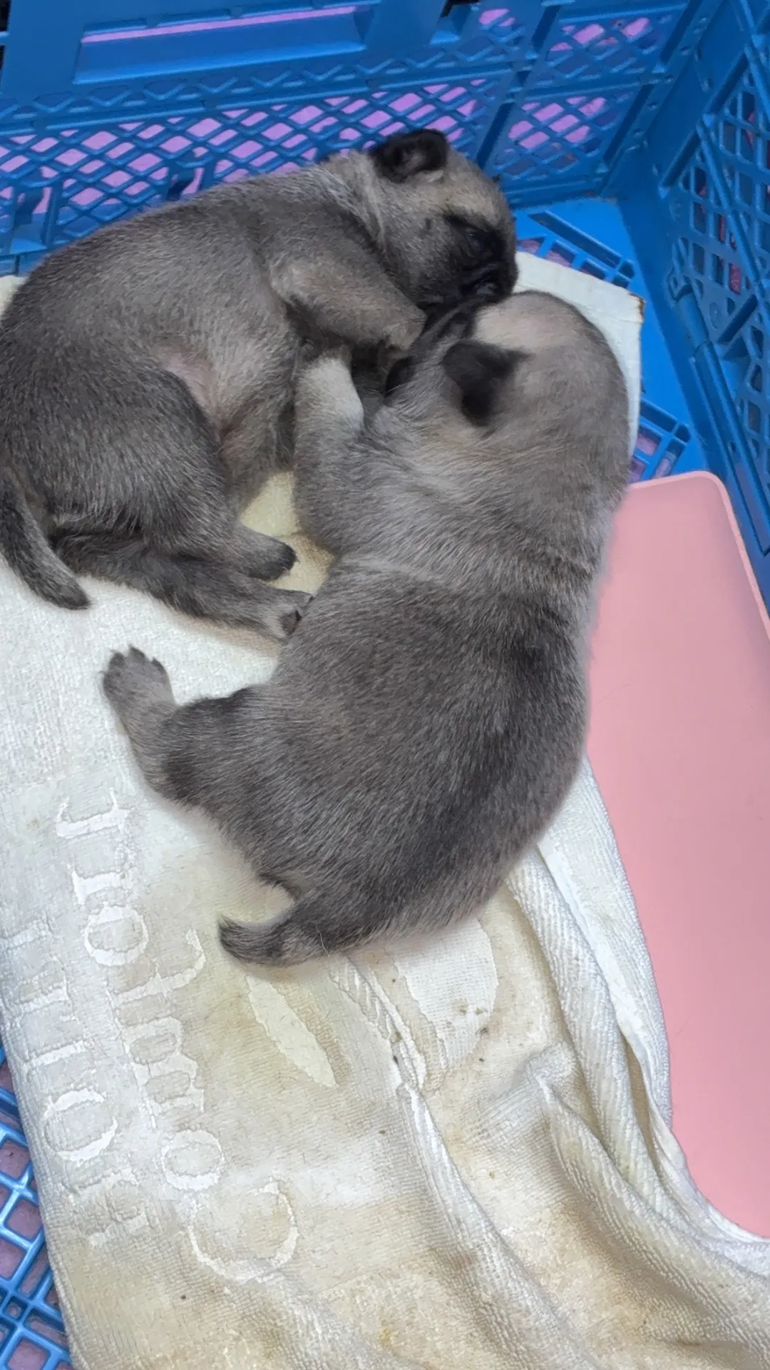 お気軽にお問い合わせください　