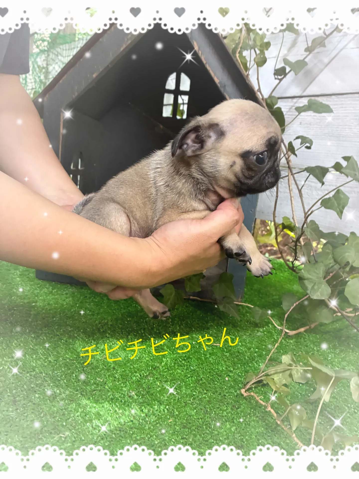 呼んだら飛んできますよ