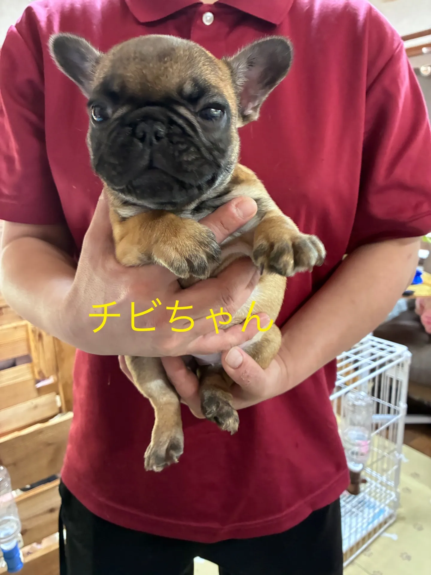 小ぶりですが元気いっぱい可愛いくてキュート