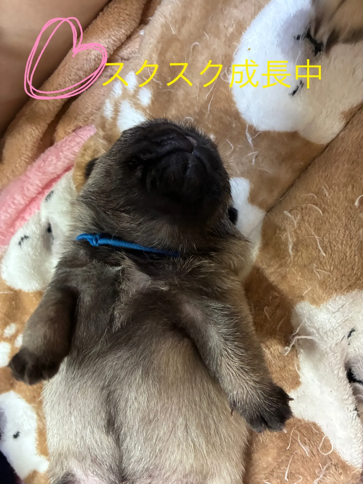 お気軽にお問い合わせください　